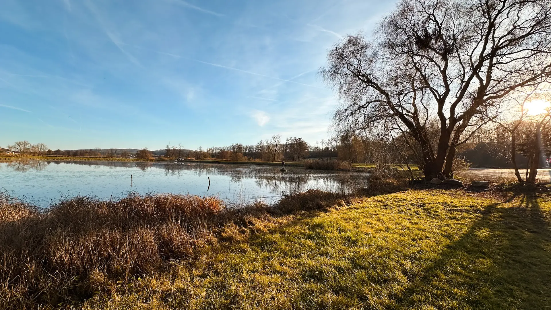 Windfelder See mit Herbstsonne